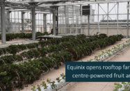 Copy of Copy of Copy of 1 (4)