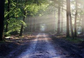 the road